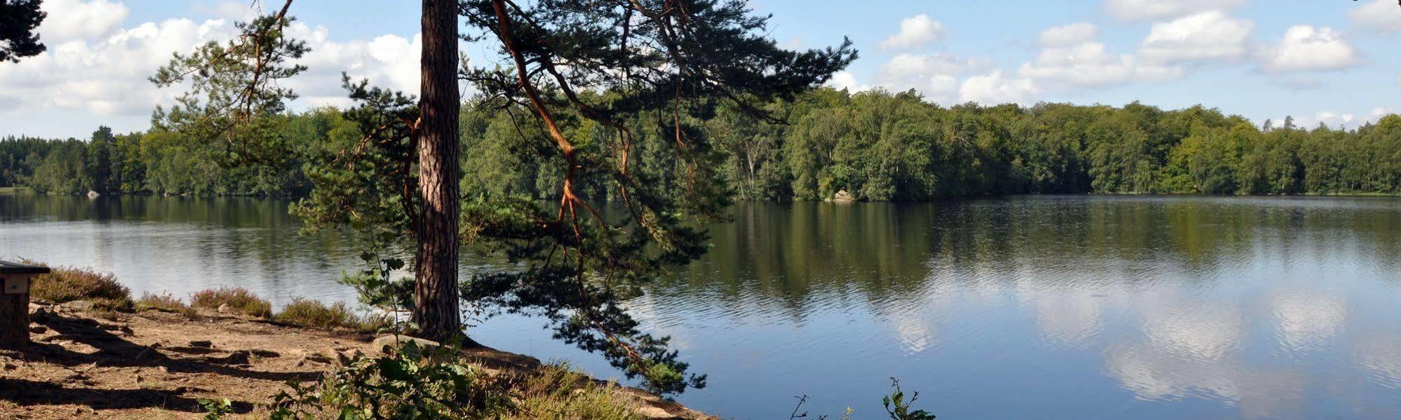 Hotel Fritzatorpet Olofström Екстериор снимка